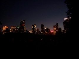 Night